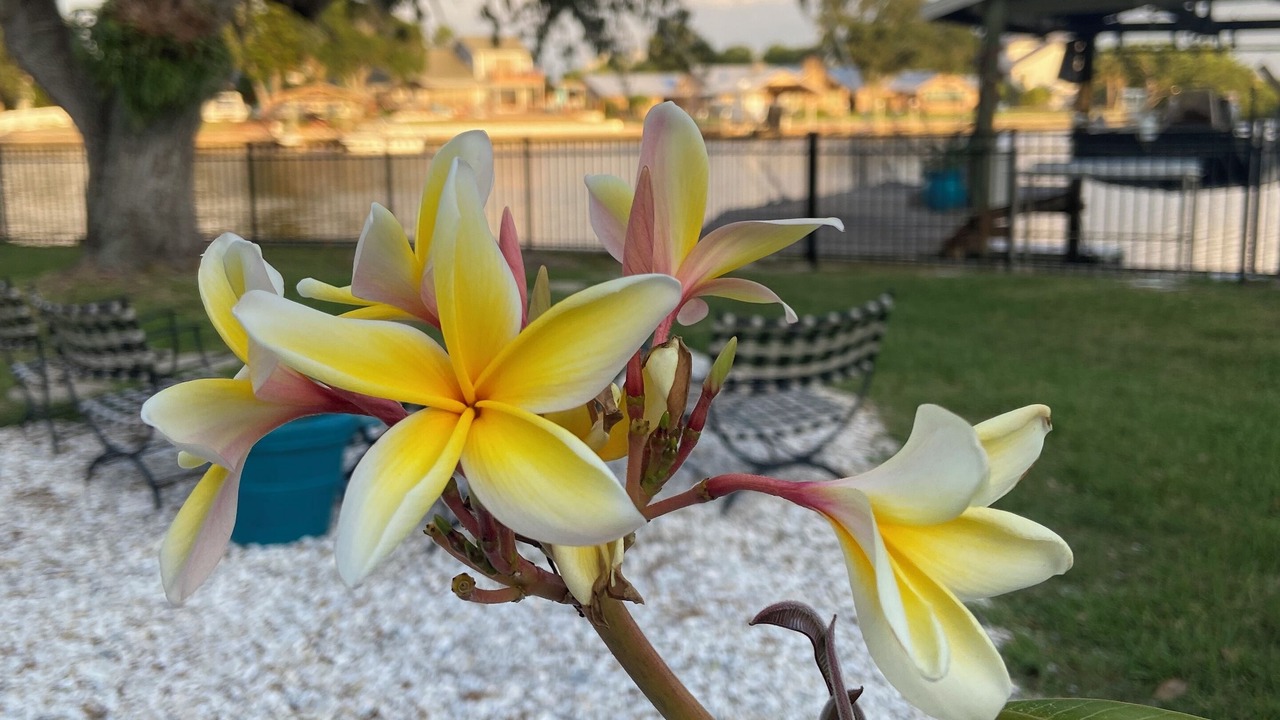 Photo of Outdoor in Ruskin