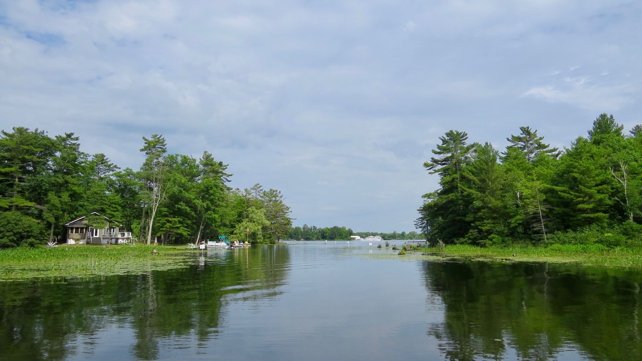 Photo of Others in Port Severn