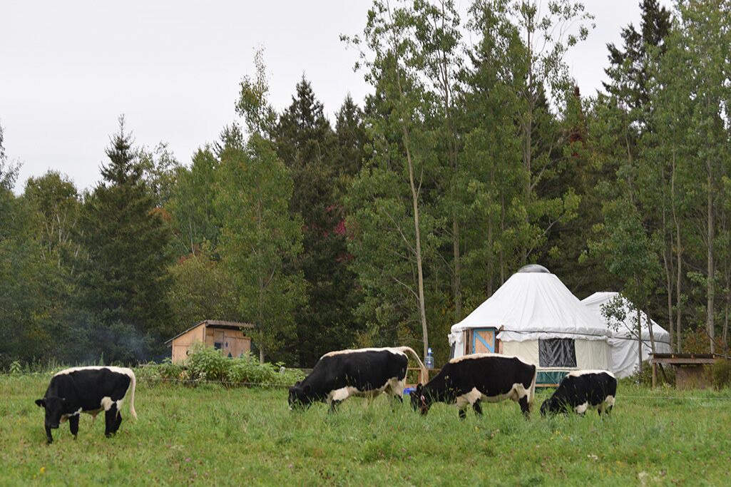 Photo of Outdoor in Powassan