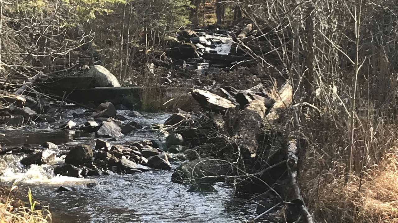 Photo of Others in South River