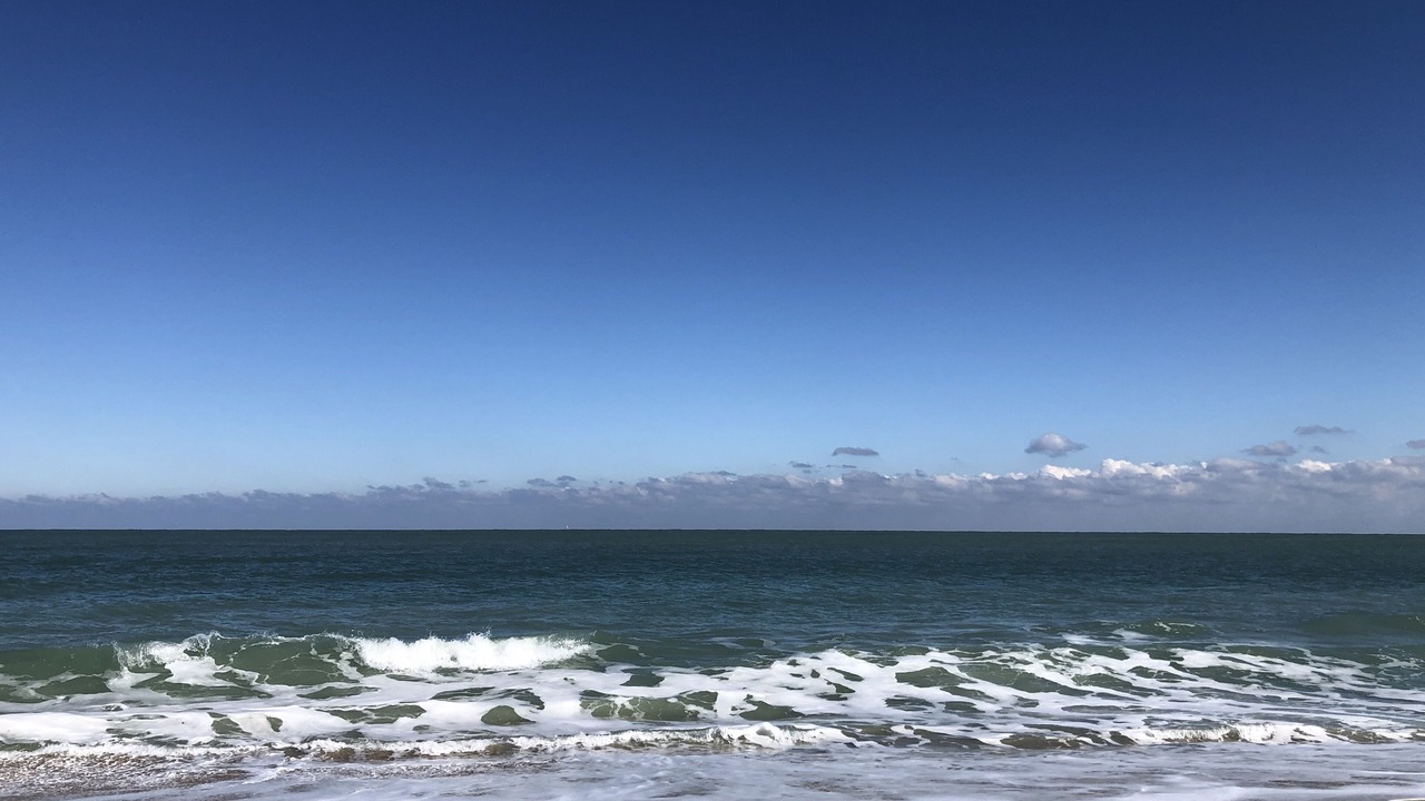Photo of Others in Vero Beach