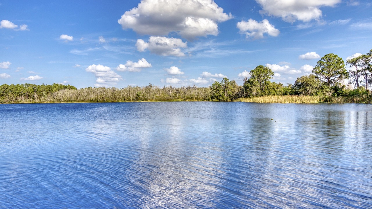 Photo of Outdoor in Bahama Bay
