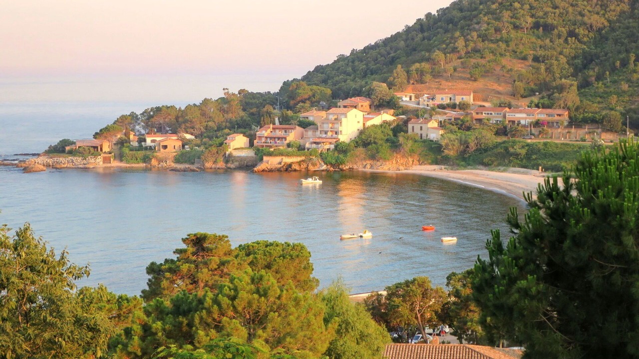 Photo of Others in Tarcu