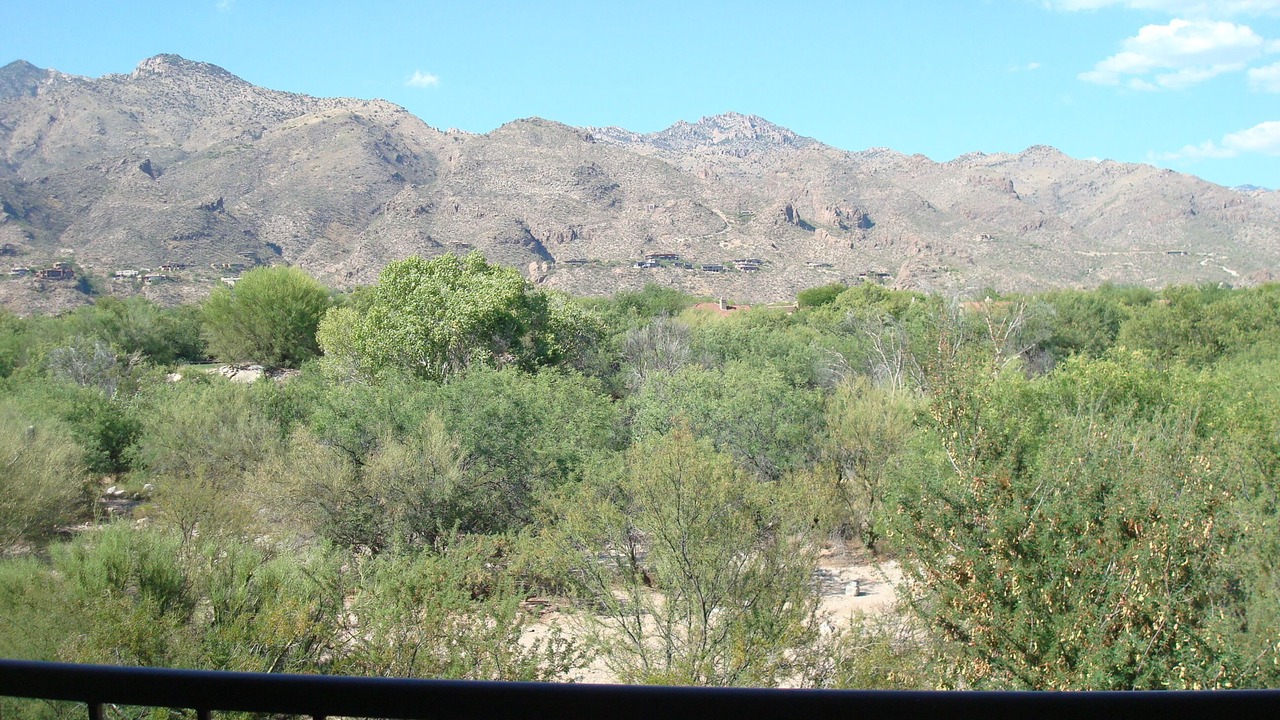 Photo of Others in Tucson