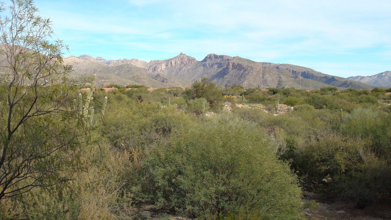 Photo of Outdoor in Tucson