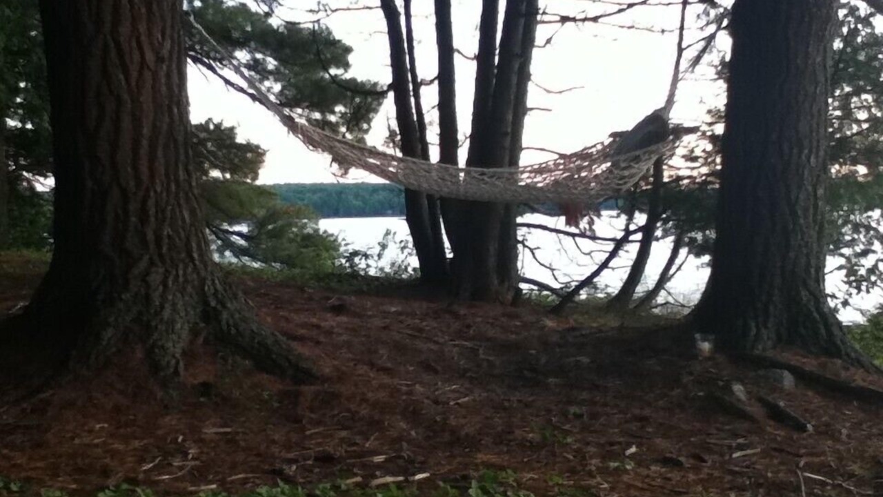 Photo of Others in North Bay