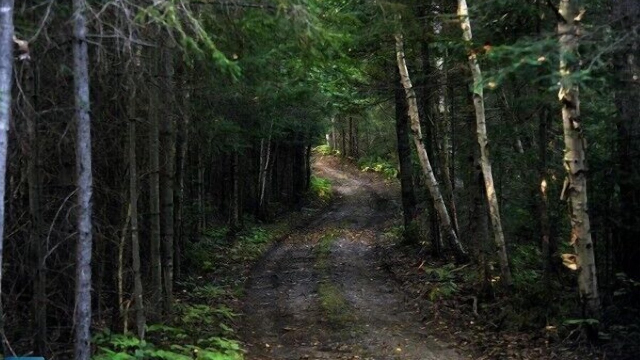 Photo of Others in Marten River