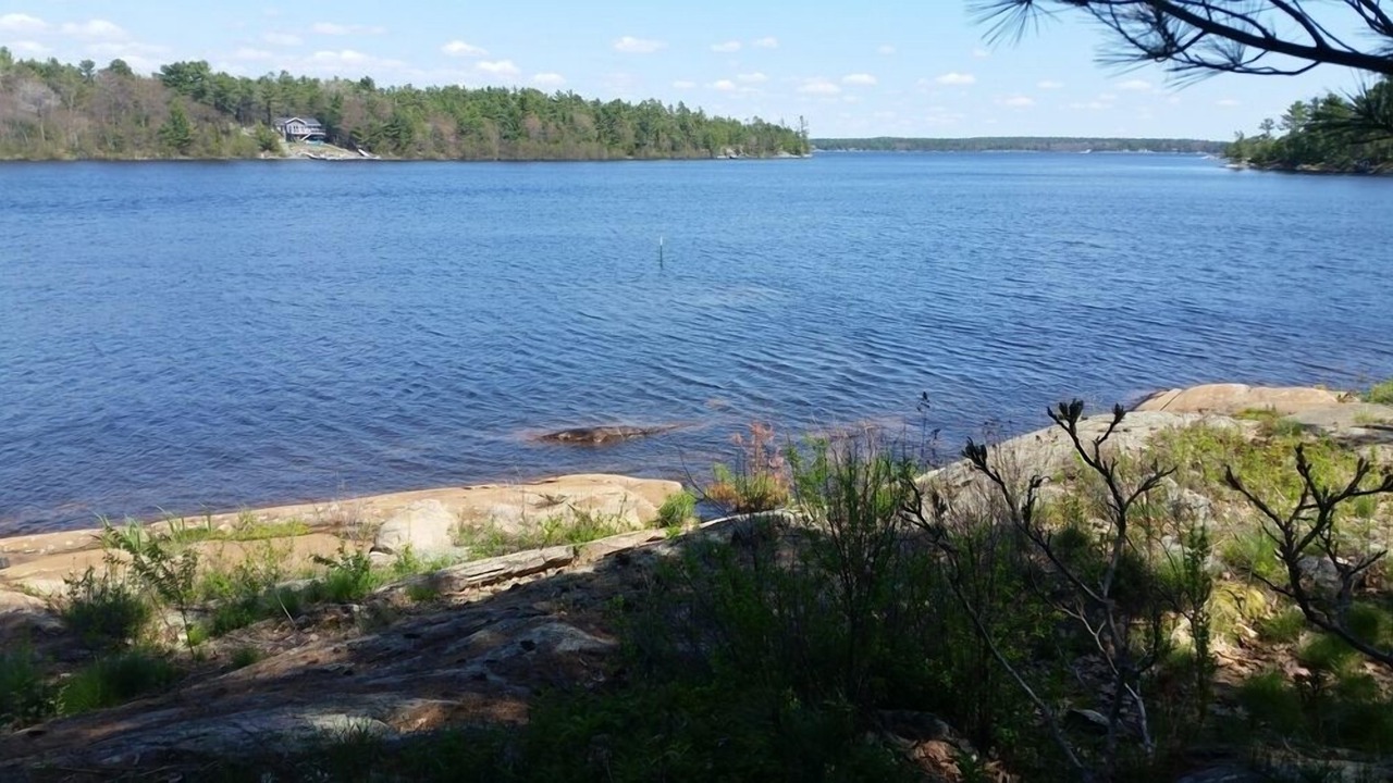 Photo of Others in The Archipelago