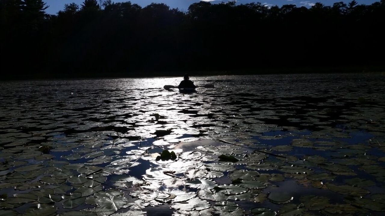 Photo of Others in The Archipelago