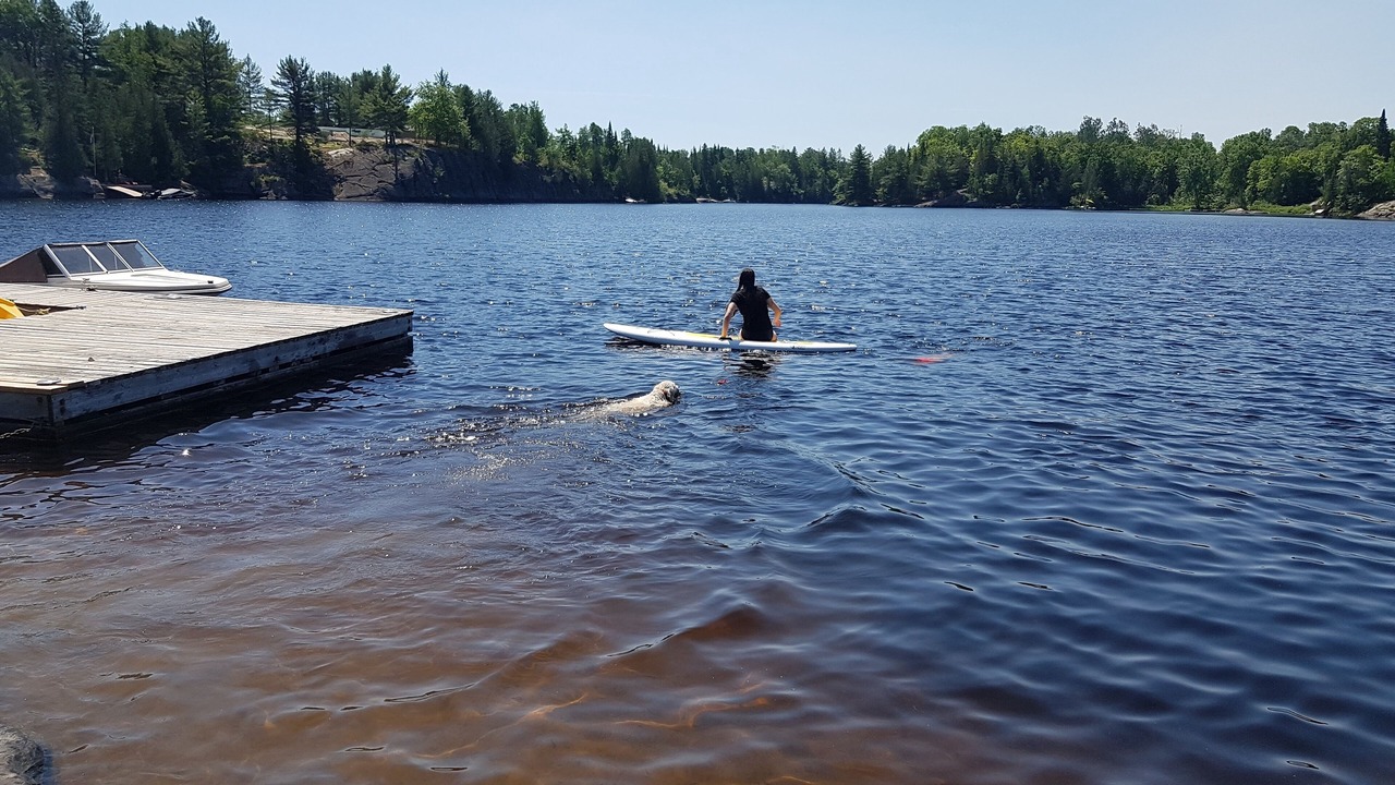 Photo of Others in McKellar