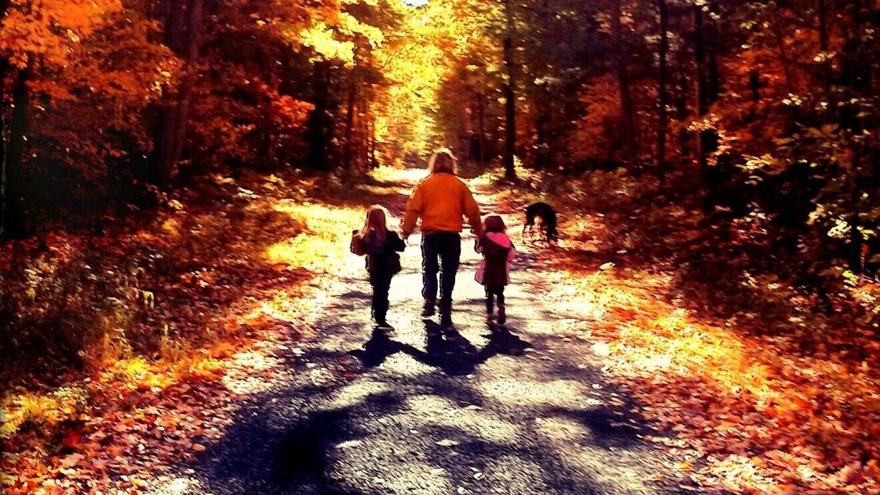 Photo of Others in Howe Island