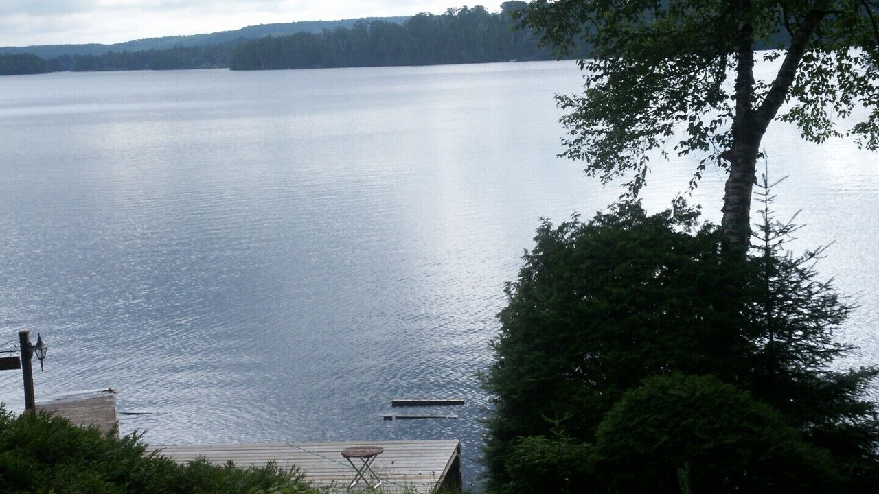 Photo of Others in Minden Hills