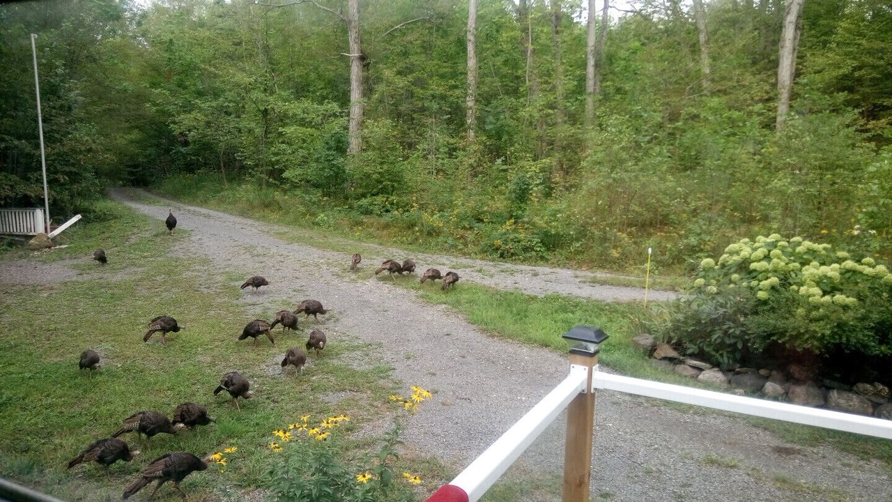 Photo of Others in Central Frontenac