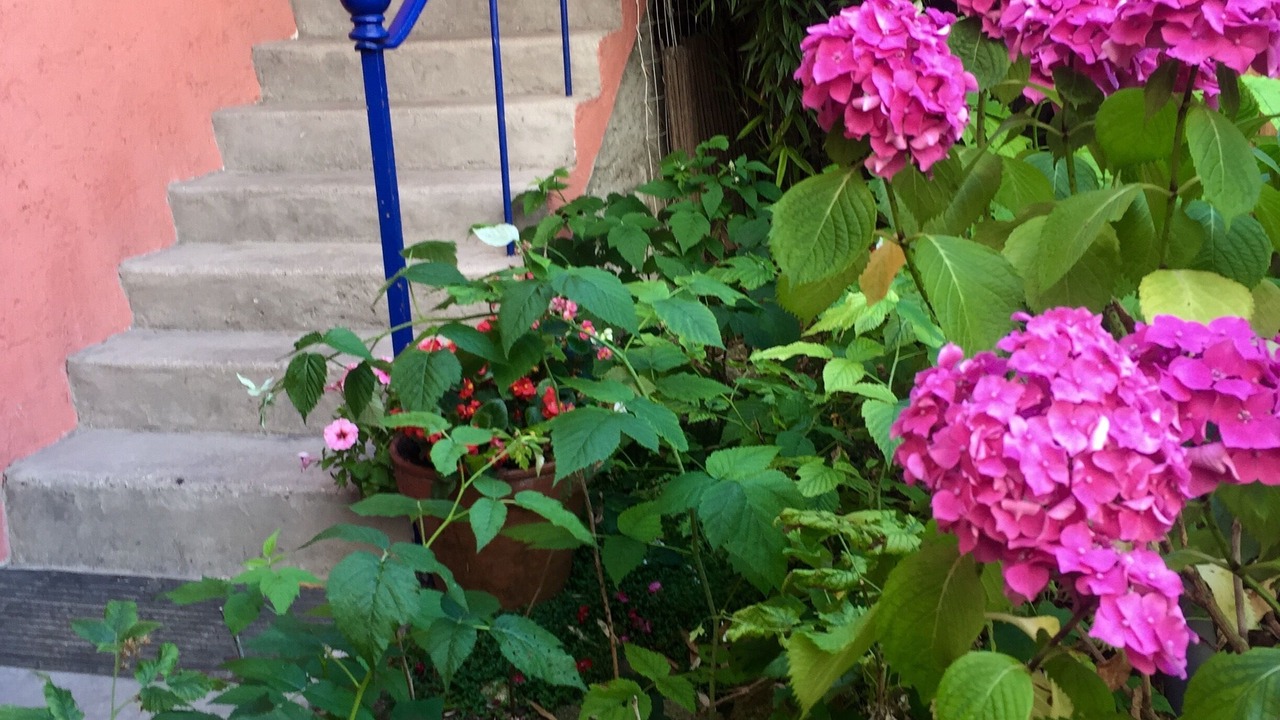 Photo of Outdoor in Quartier Victor Hugo