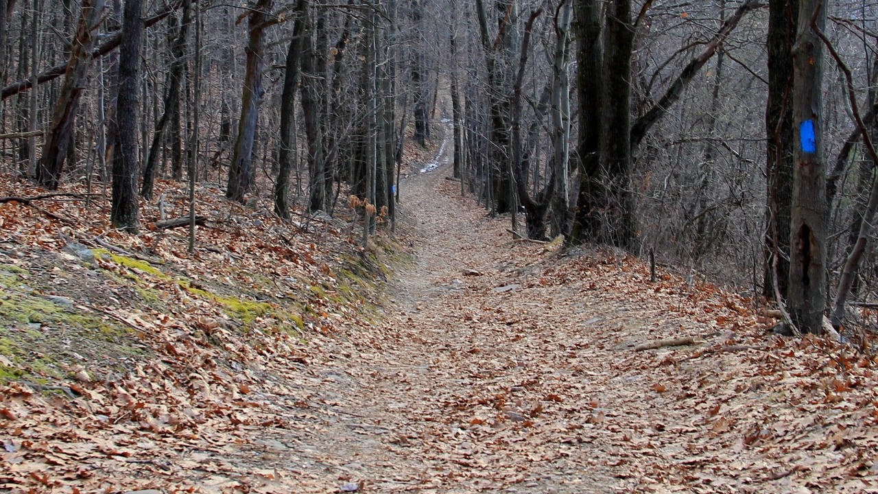 Photo of Others in State College