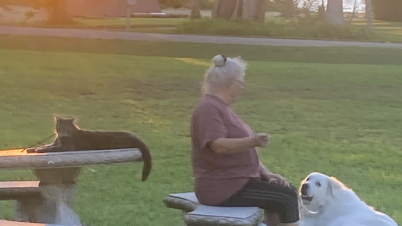 Photo of Others in Broadview Manor