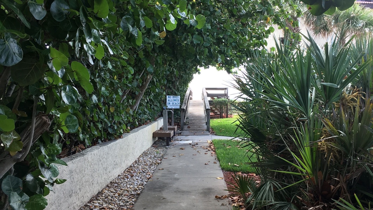 Photo of Outdoor in Melbourne Beach