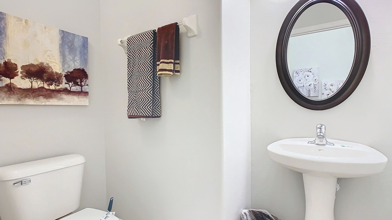 Photo of Bathroom in Reunion
