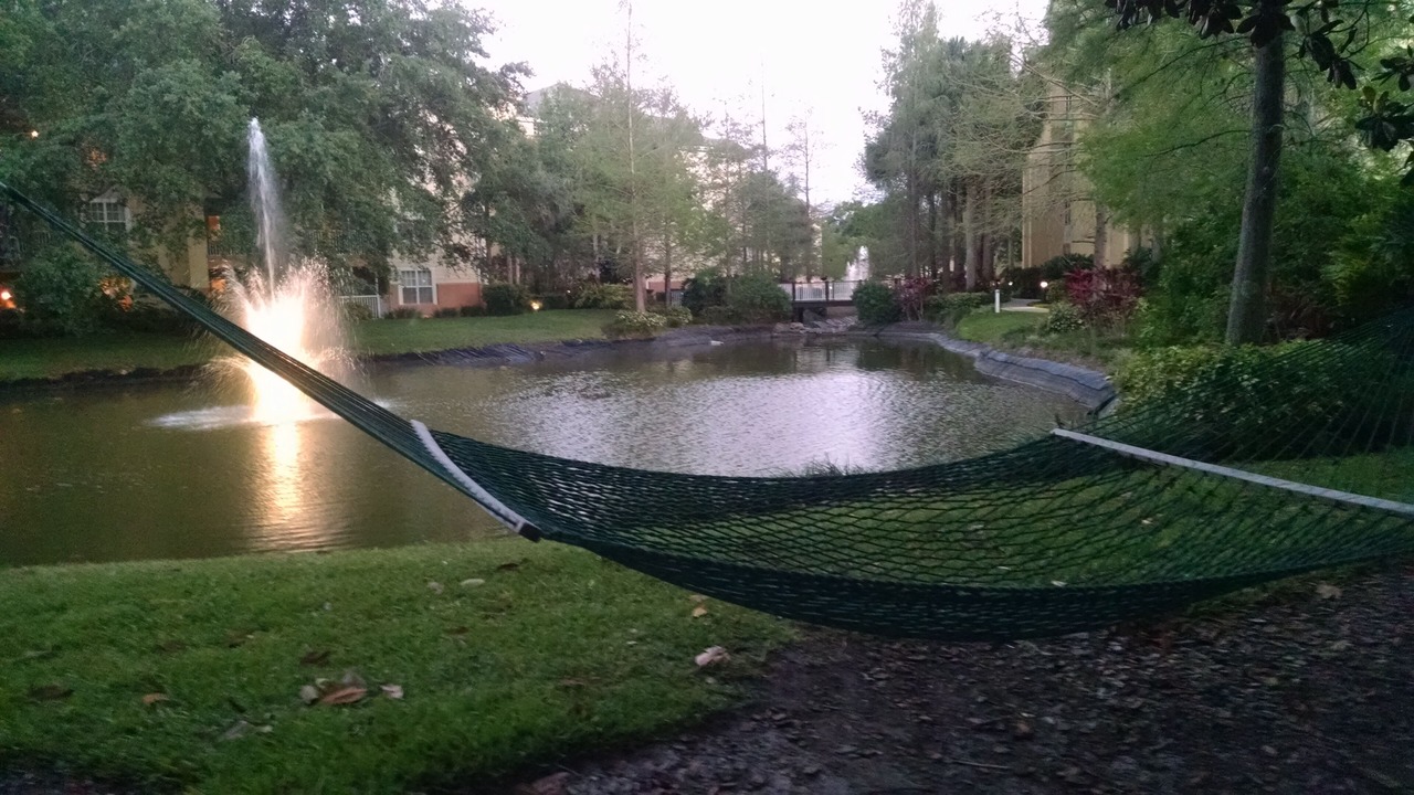 Photo of Outdoor in Florida Central Atlantic Coast