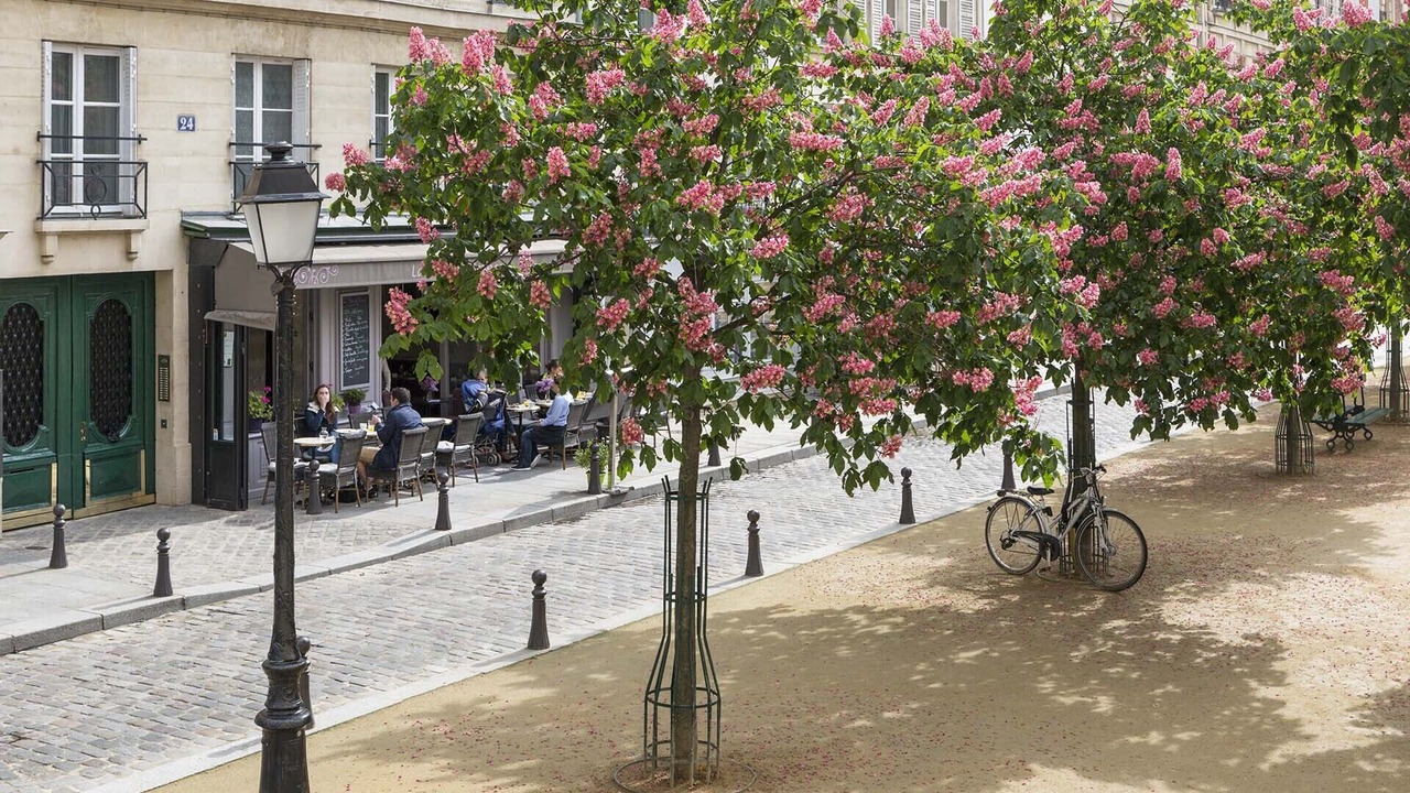 Photo of Others in Paris City Center