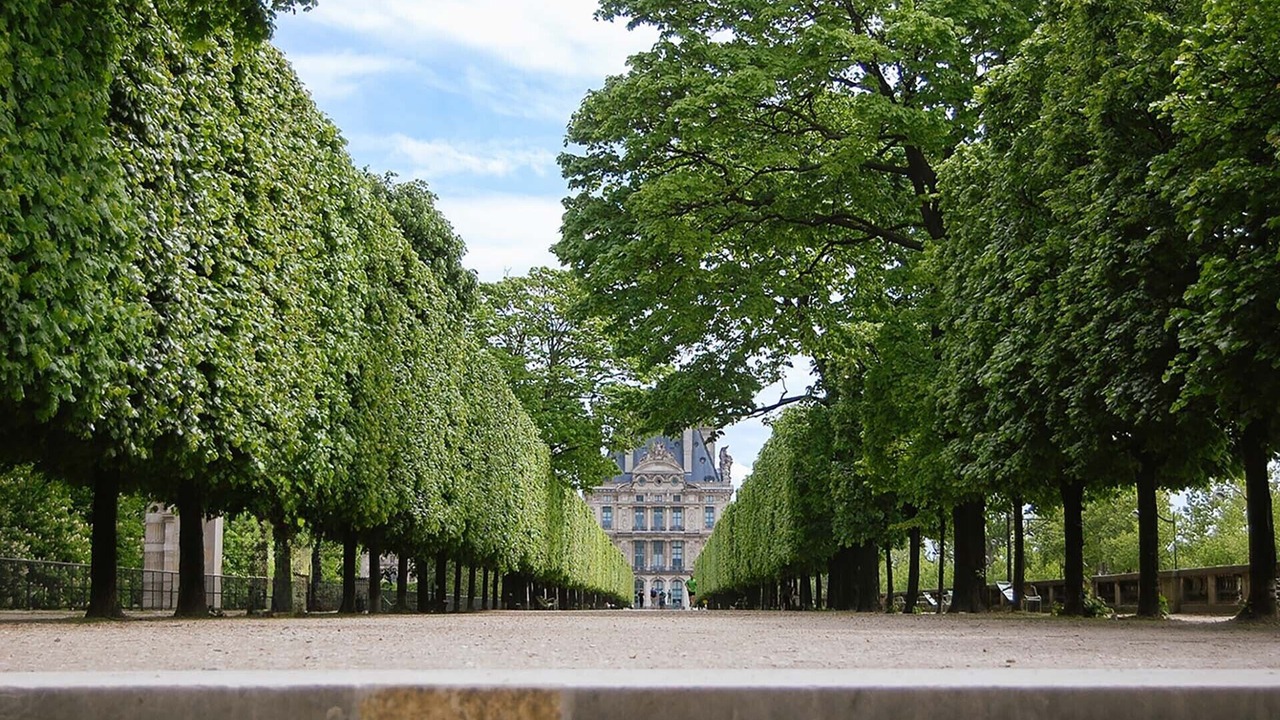 Photo of Outdoor in Paris City Center