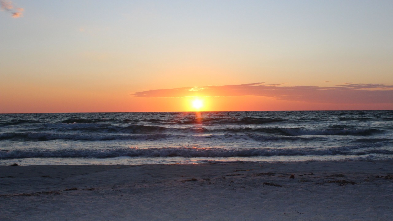 Photo of Others in Clearwater
