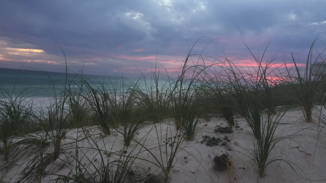 Photo of Others in Seagrove Beach