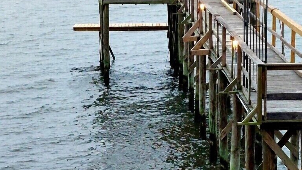 Photo of Outdoor in Lake Catherine