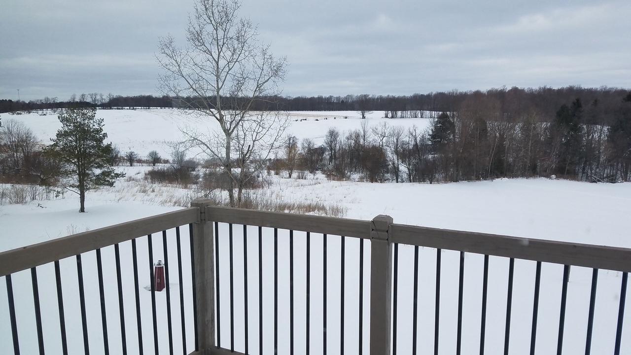Photo of Outdoor in LaFayette
