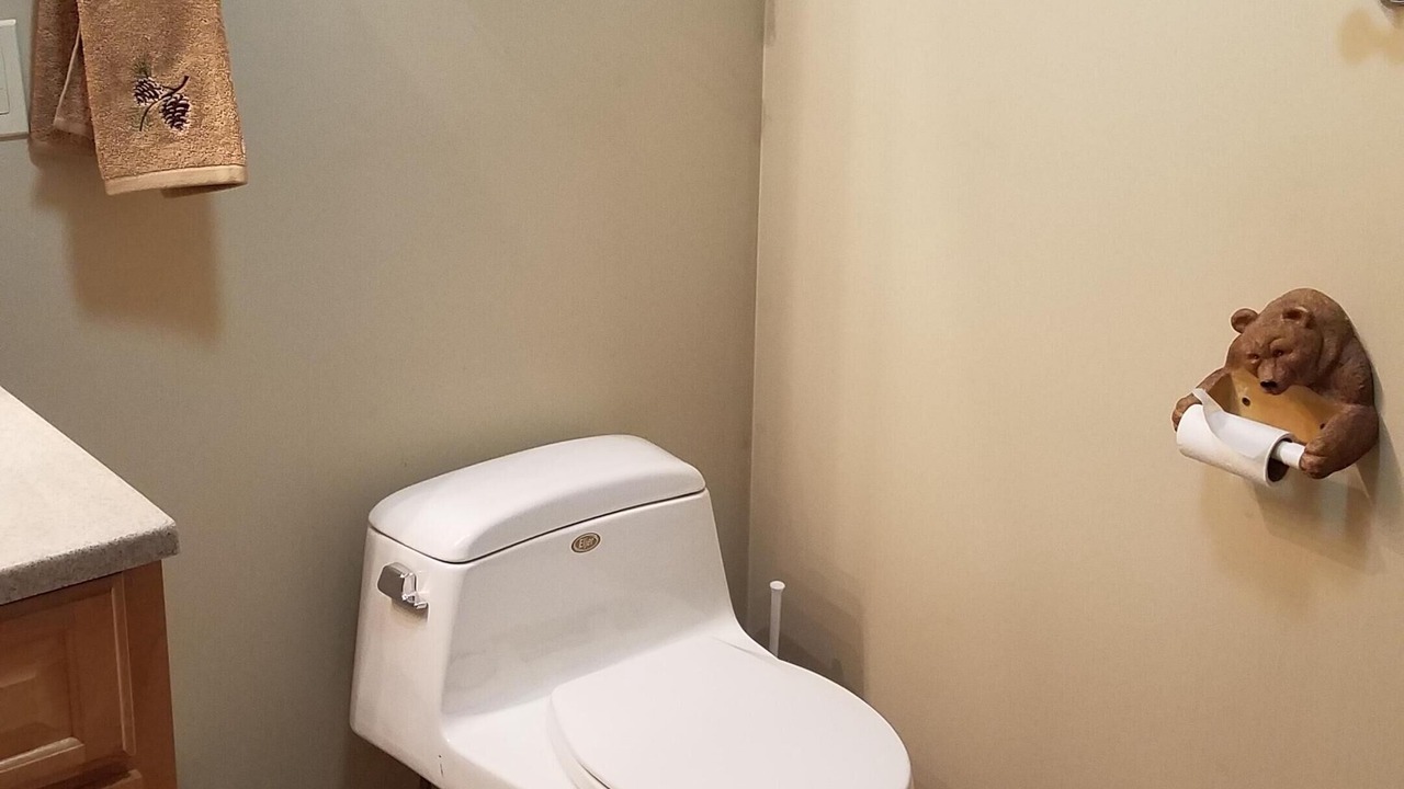 Photo of Bathroom in LaFayette