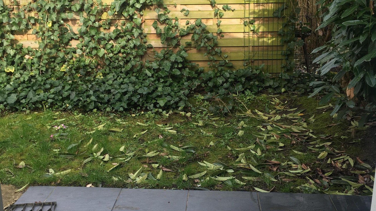 Photo of Outdoor in Champigny-sur-Marne