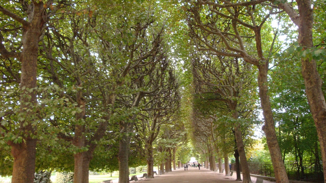 Photo of Outdoor in Enfants-Rouges
