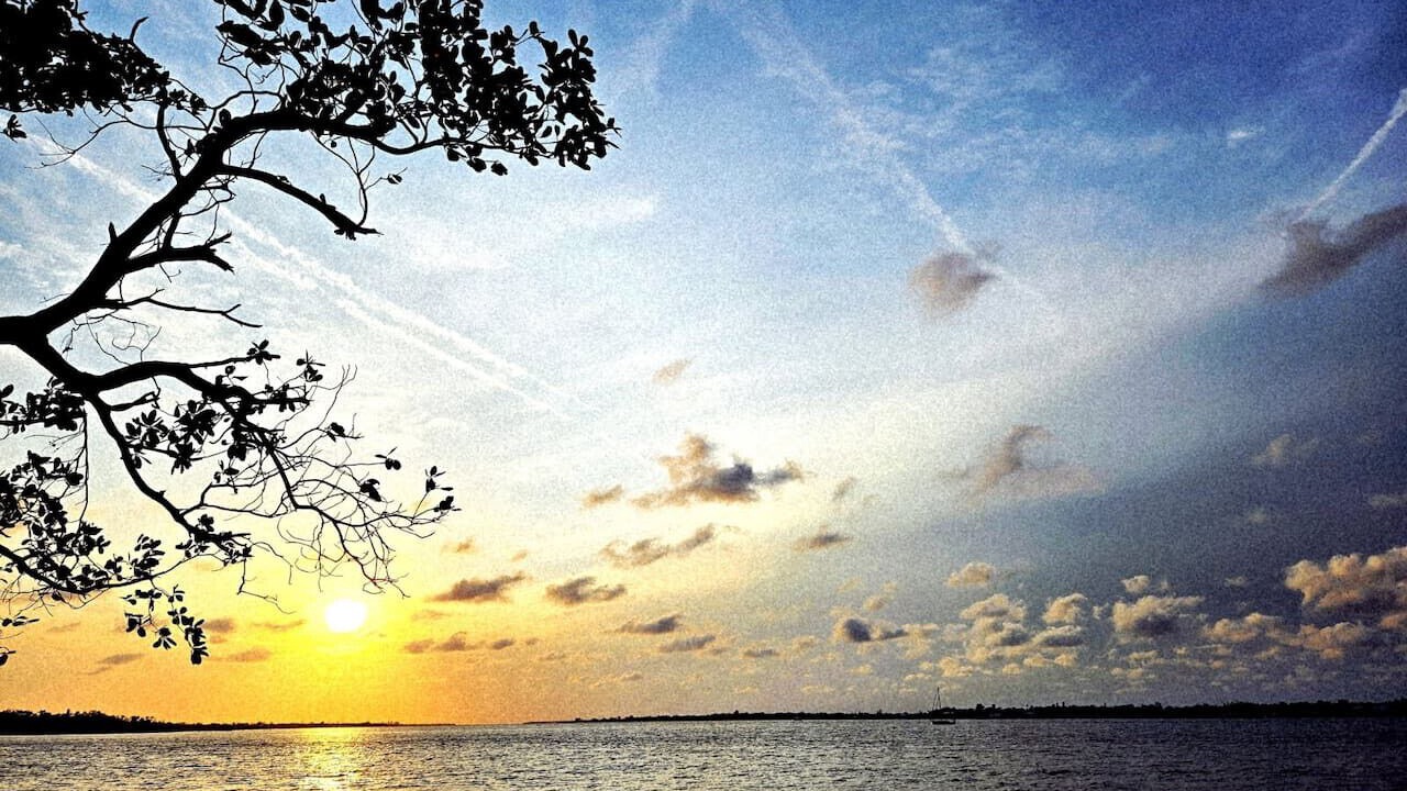 Photo of Others in Bradenton