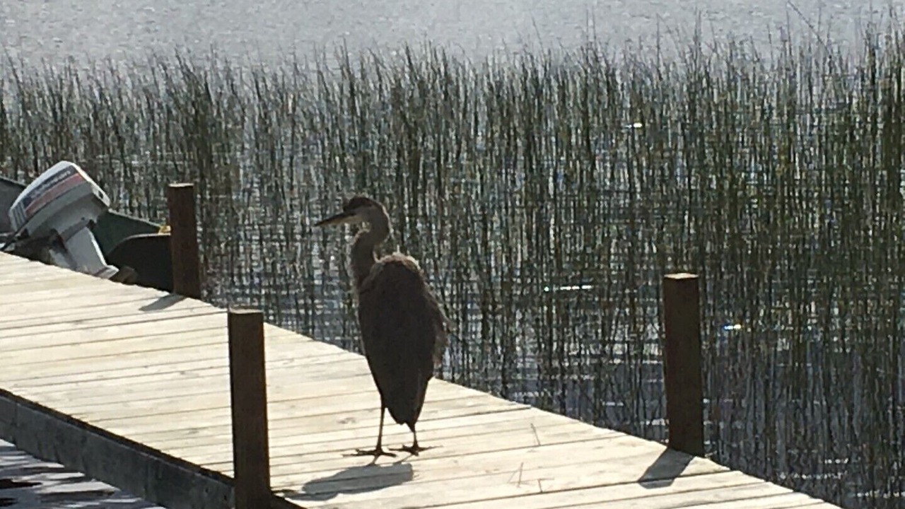Photo of Outdoor in Unorganized Centre Parry Sound