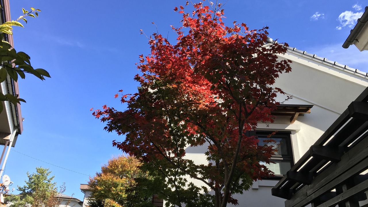 Photo of Outdoor in Fujikawaguchiko