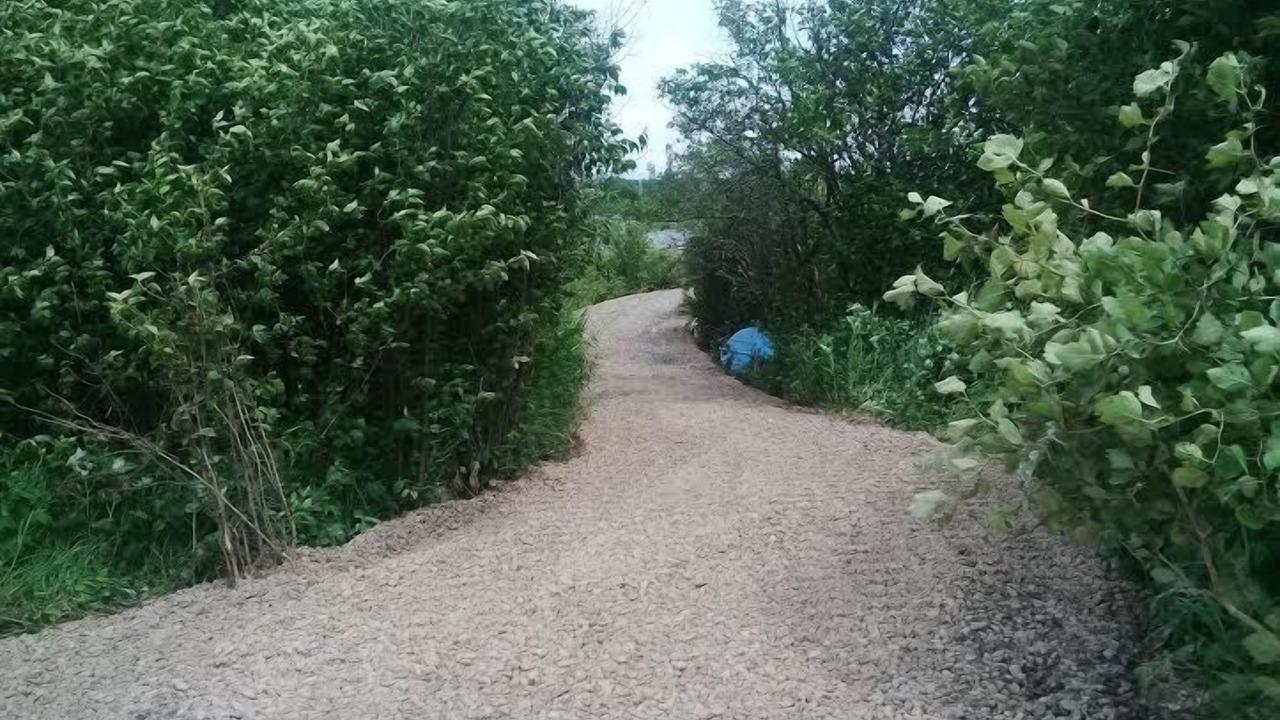 Photo of Others in Grey Highlands