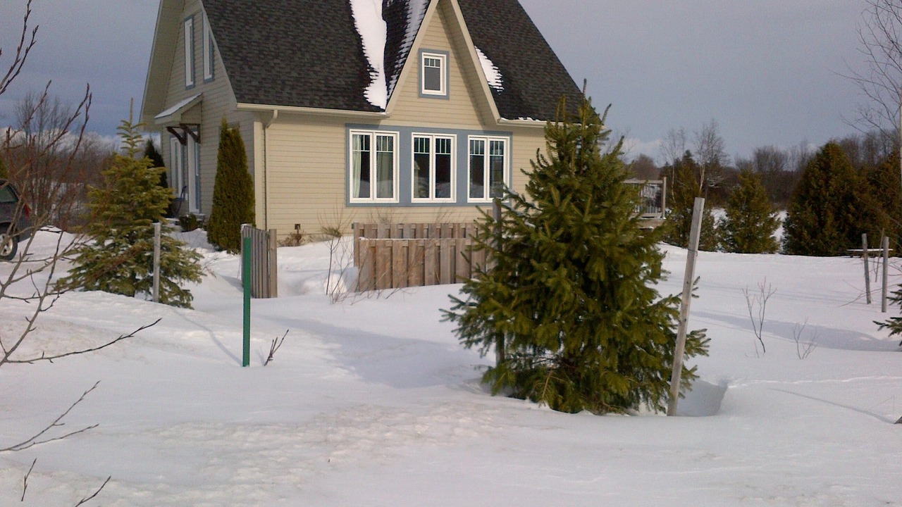 Photo of Others in Grey Highlands