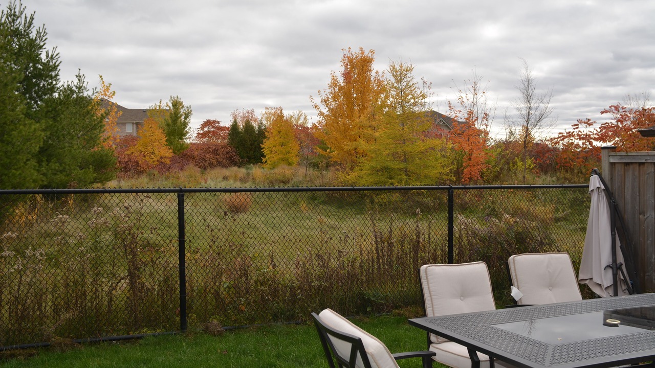 Photo of Others in Caledon