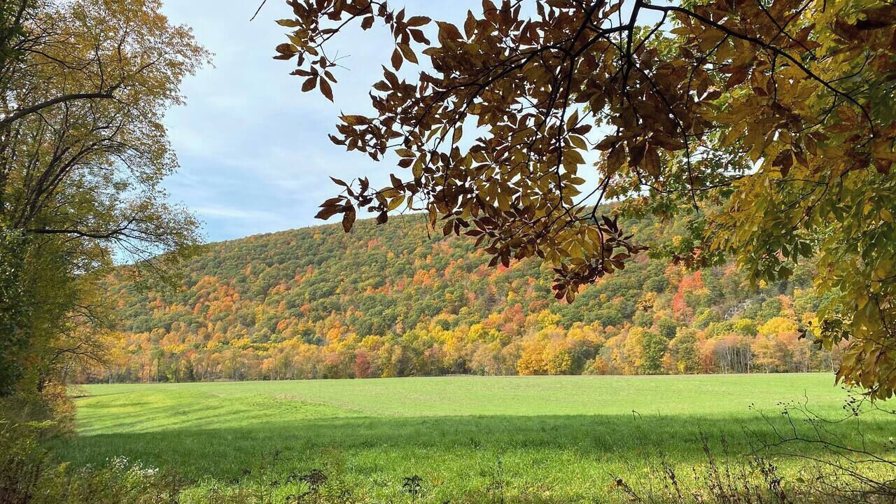 Photo of Outdoor in Pine Plains