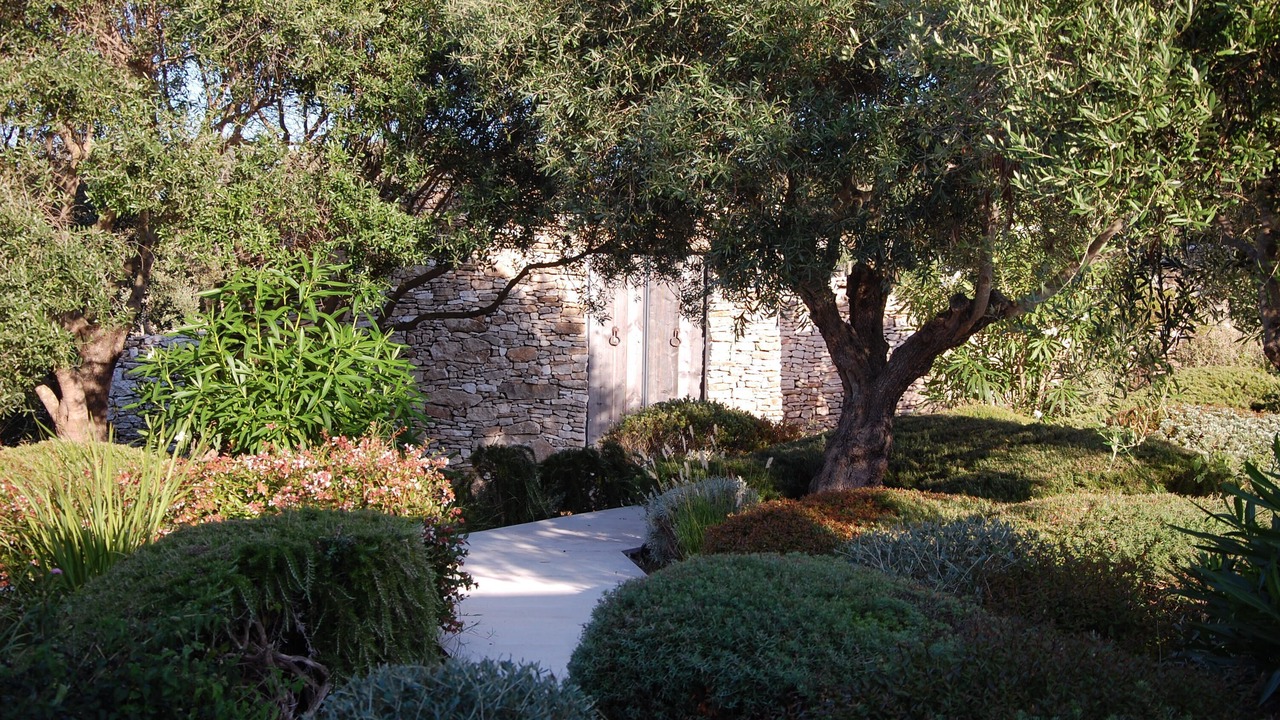 Photo of Outdoor in Bonifacio