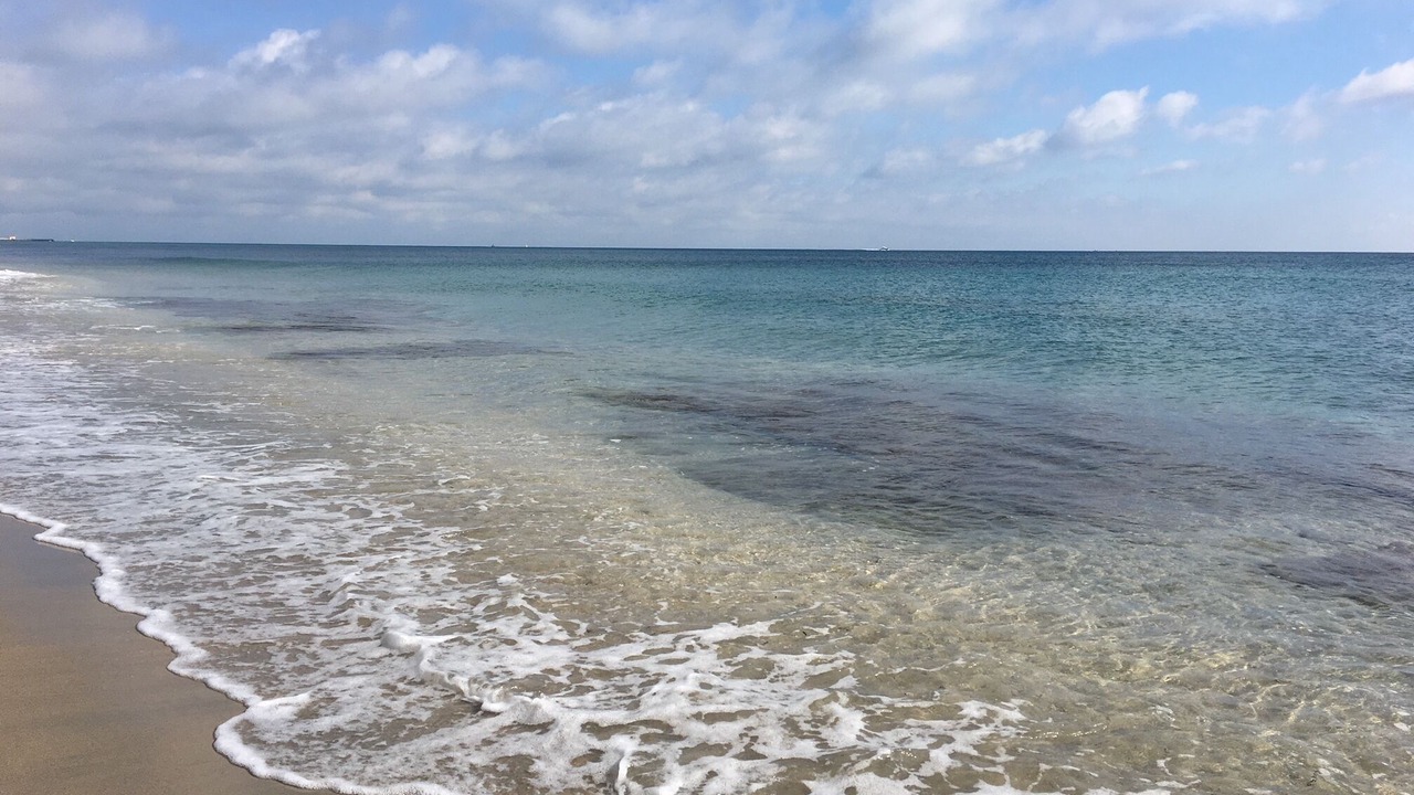 Photo of Others in Ocean Ridge