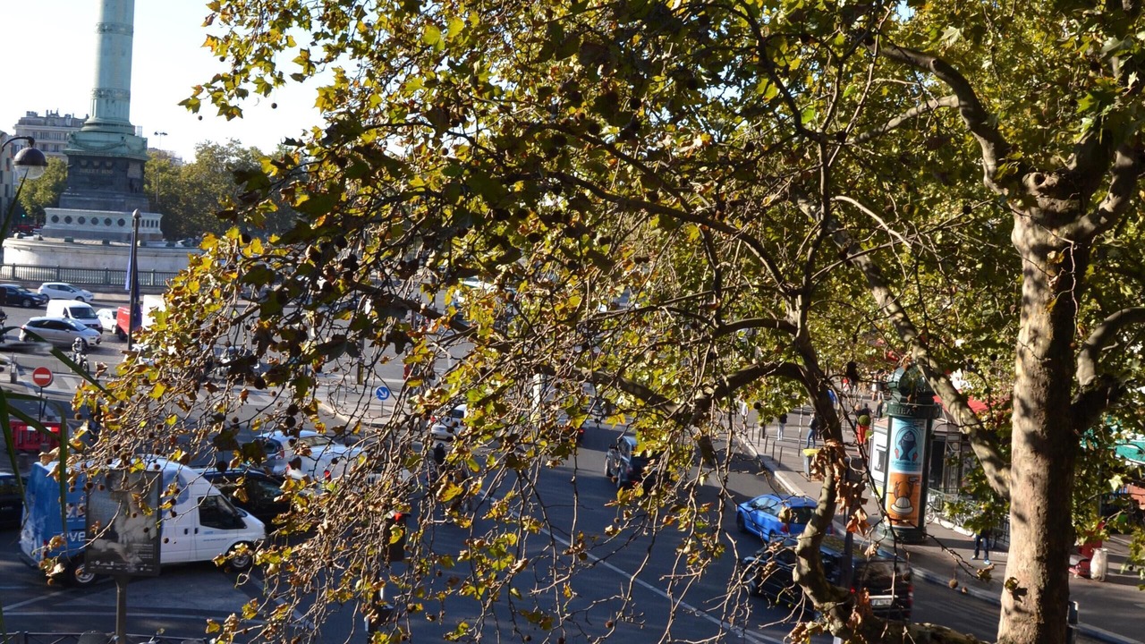 Photo of Others in Quartier de la Roquette