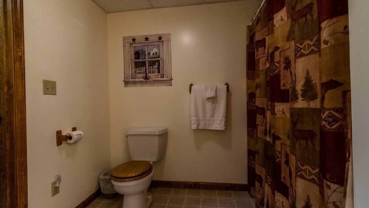 Photo of Bathroom in Allegheny Mountains
