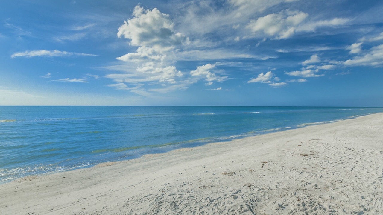 Photo of Others in Indian Shores