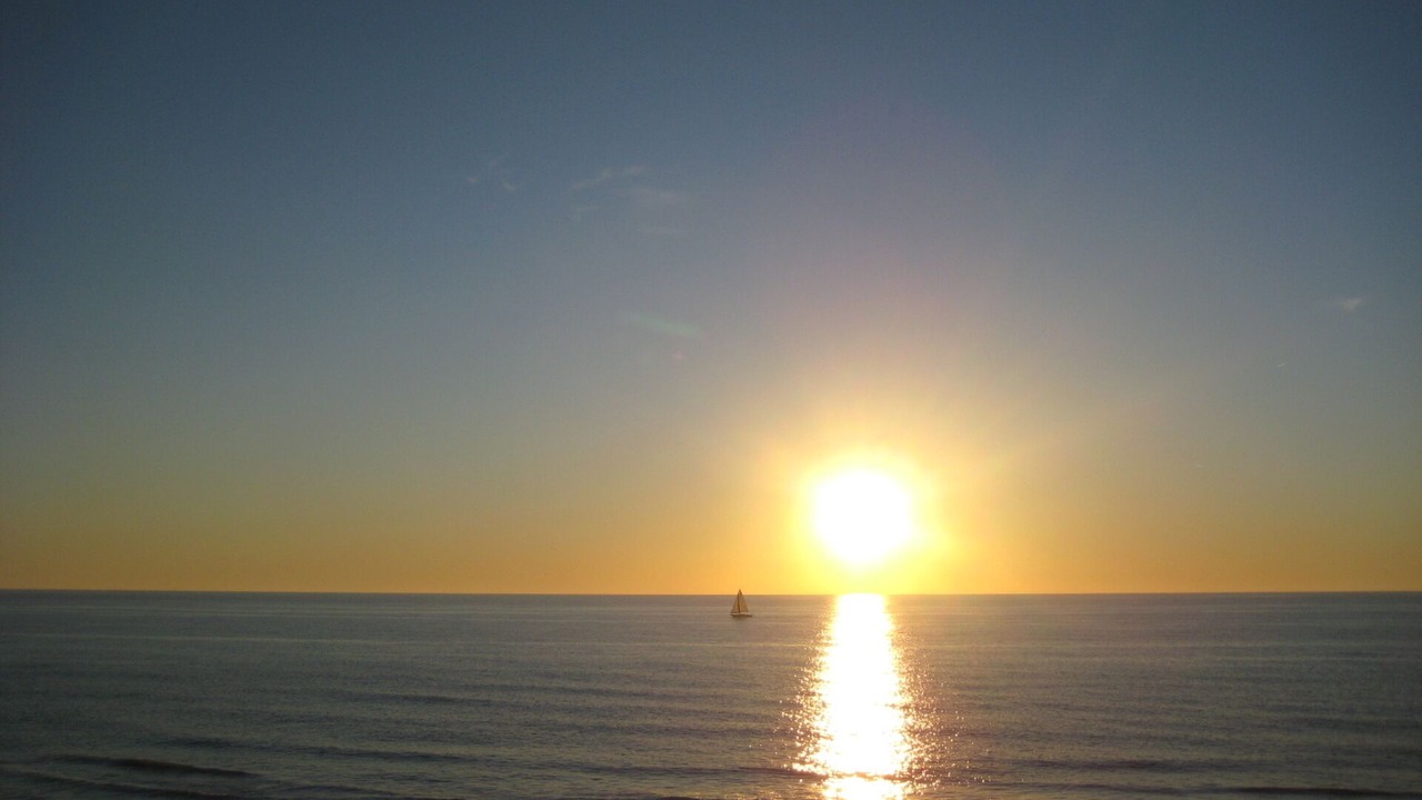 Photo of Others in Indian Shores