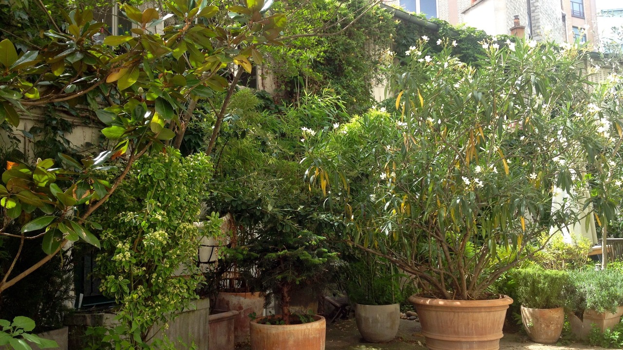 Photo of Outdoor in Grenelle