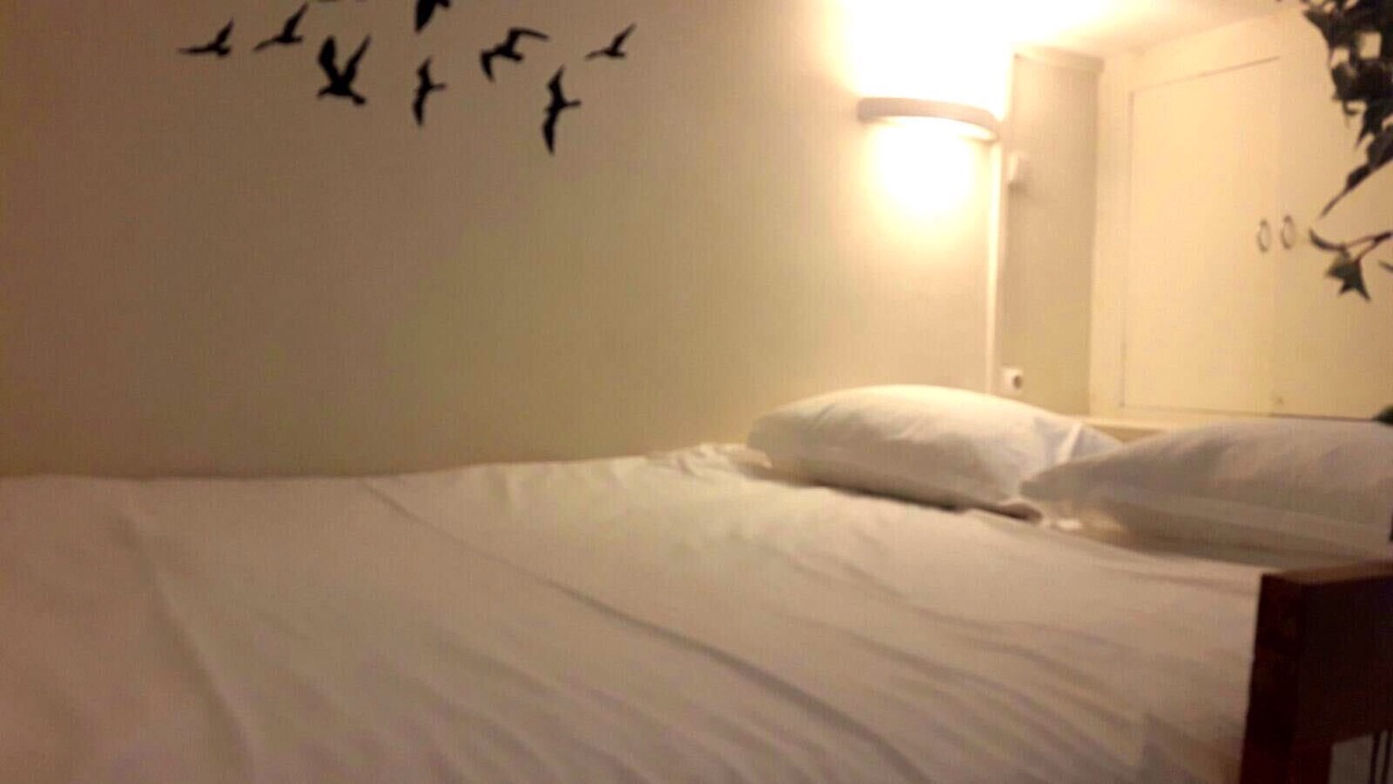 Photo of Bedroom in Grenelle
