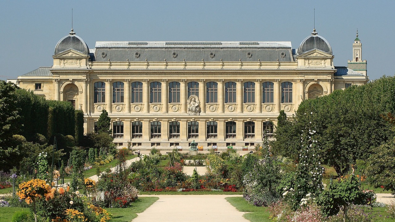 Photo of Others in 5th Arrondissement
