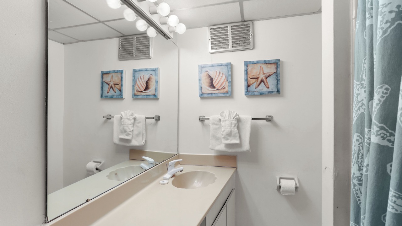 Photo of Bathroom in St. Pete Beach