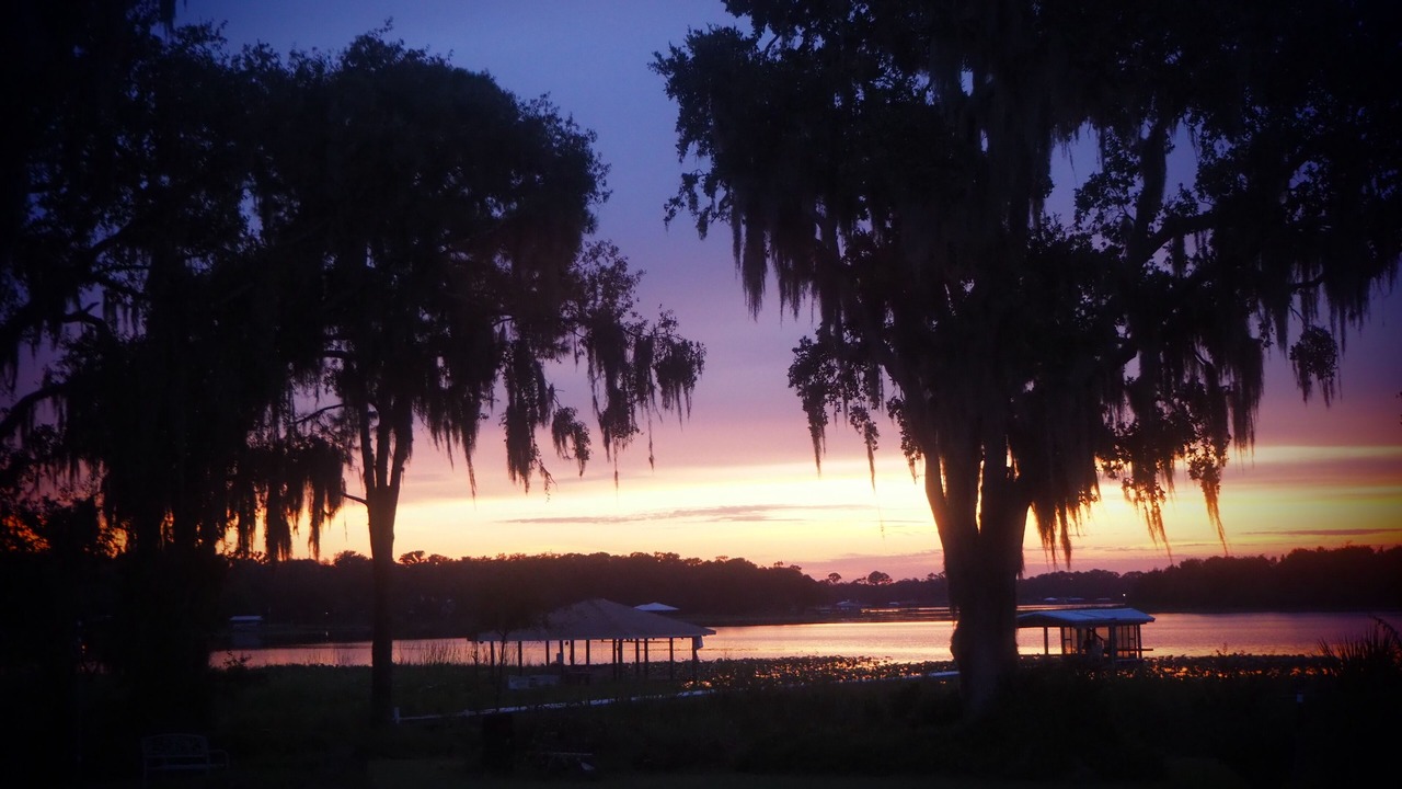 Photo of Outdoor in Highland